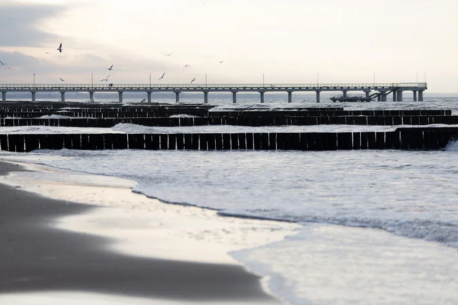 2025.11 зеленоградск, море, волнорезы, пирс (7).JPG