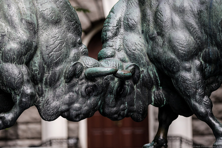 _NEV2112.jpg _NEV2112.jpg