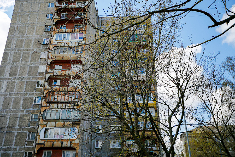_NVV7849.jpg