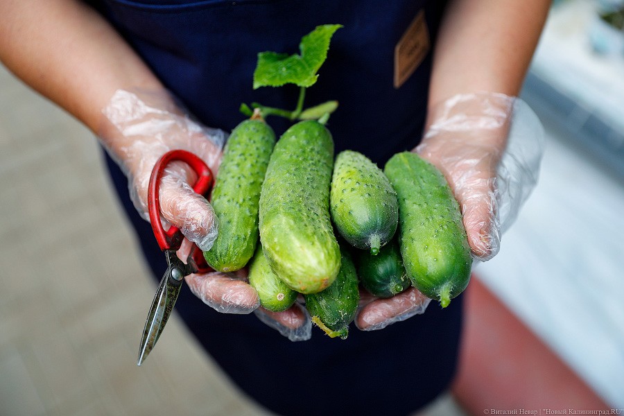 _NEV2493.jpg _NEV2493.jpg