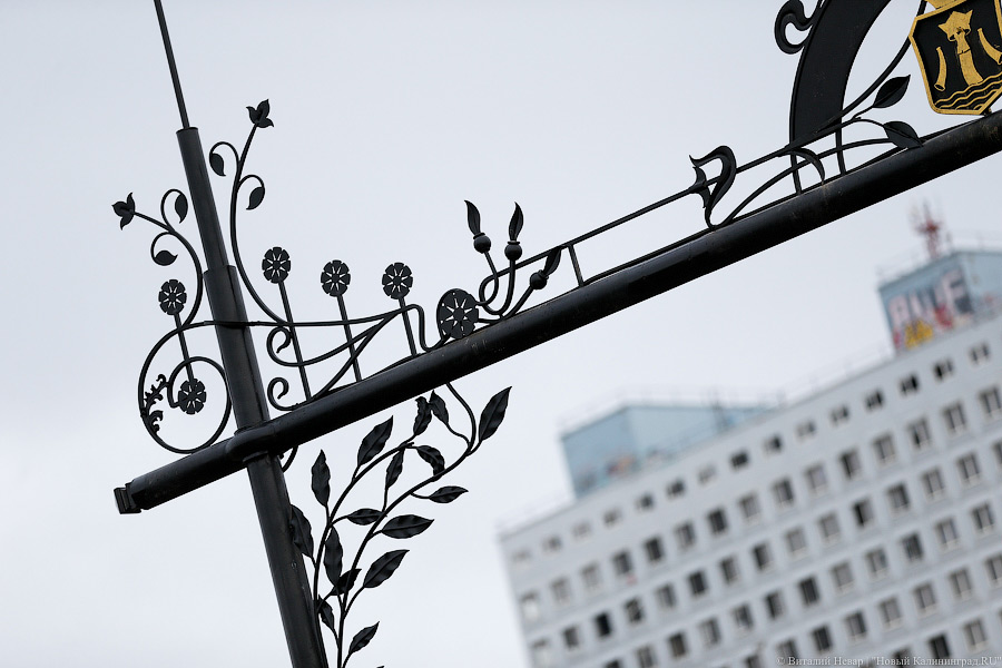 _NEV8257.jpg _NEV8257.jpg