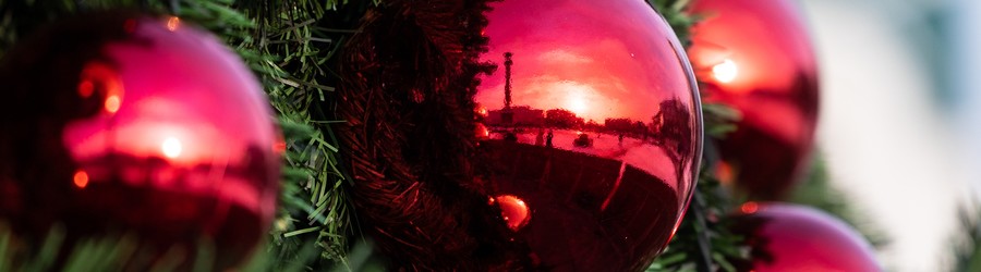 cropped-image (3).jpg cropped-image (3).jpg