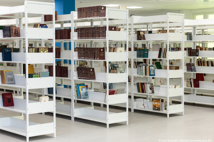 2024.01 книги, библиотека, школа 50.JPG