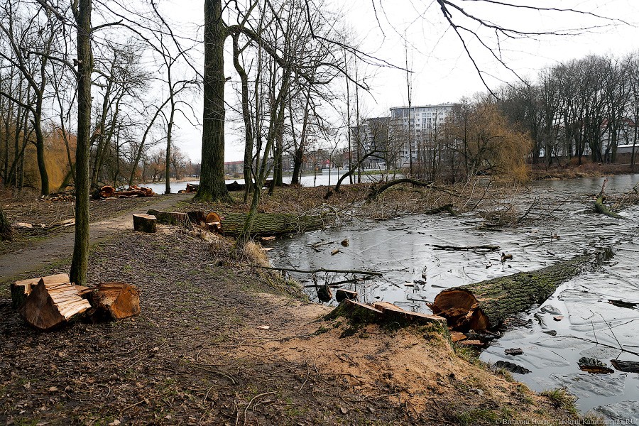 _NEV1680.jpg _NEV1680.jpg