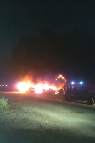 цепрусс.jpg цепрусс.jpg