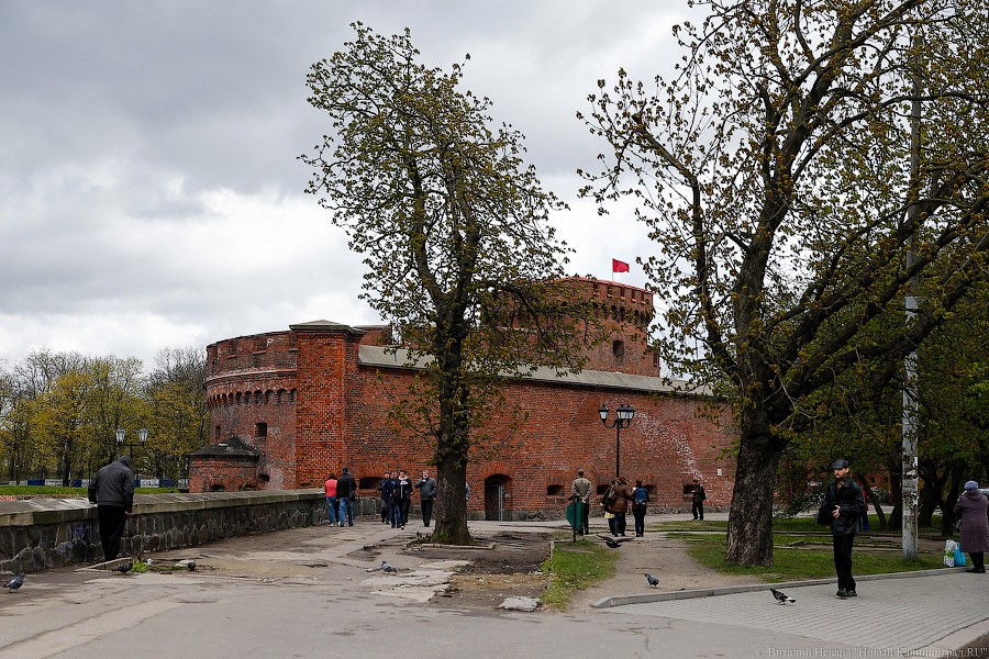 _NEV4859.jpg _NEV4859.jpg