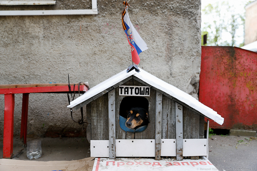 _NEV2759.jpg _NEV2759.jpg