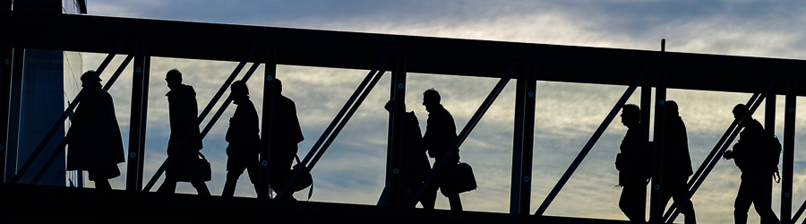 кишка.jpeg кишка.jpeg