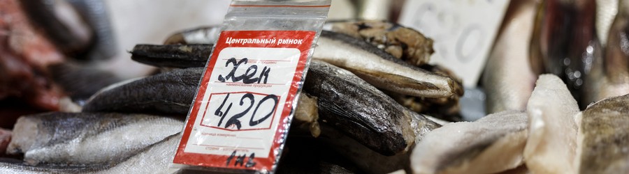 cropped-image (14).jpg