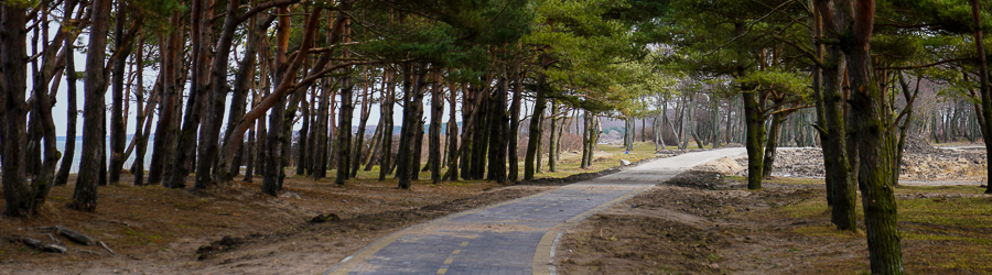 _NVR9362.jpg _NVR9362.jpg