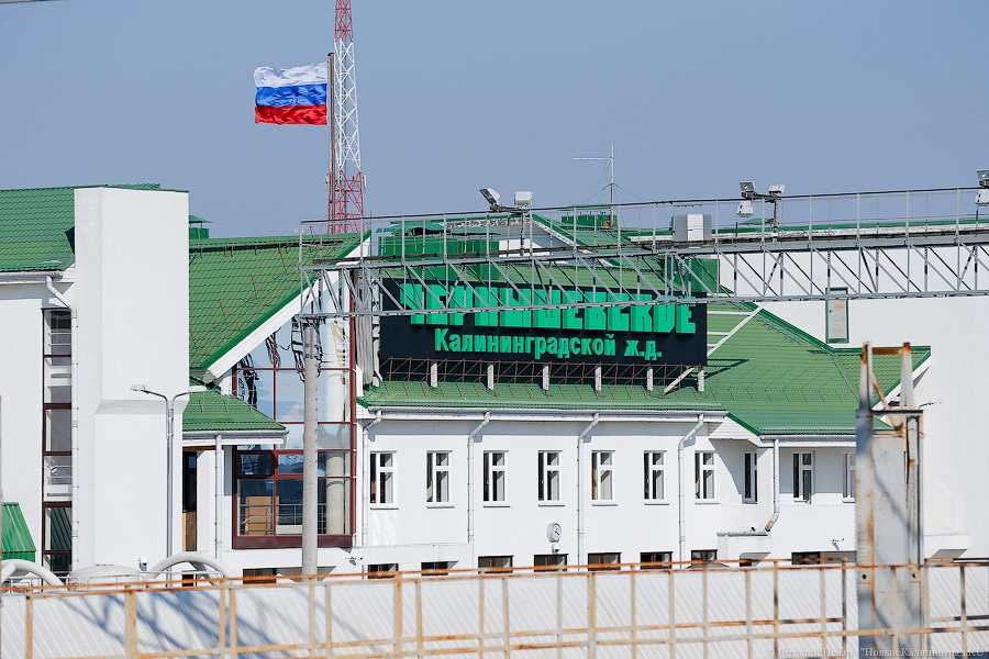 _NEV4954.jpg _NEV4954.jpg