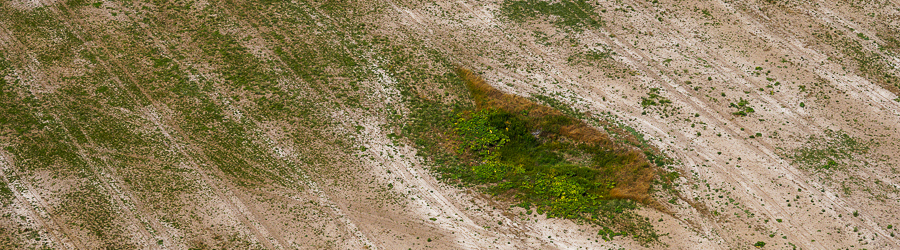 _NVR7098.jpg _NVR7098.jpg