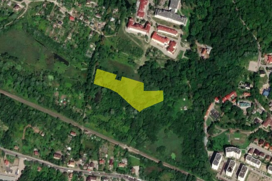 кроне.jpg