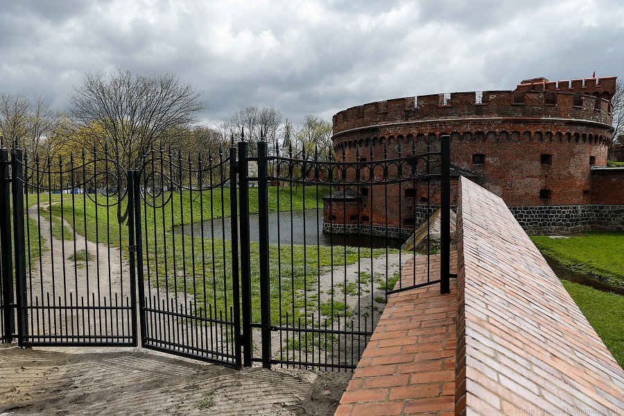 _NEV4879.jpg _NEV4879.jpg