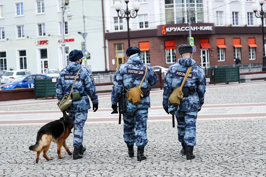 0NVR9500.jpg 0NVR9500.jpg