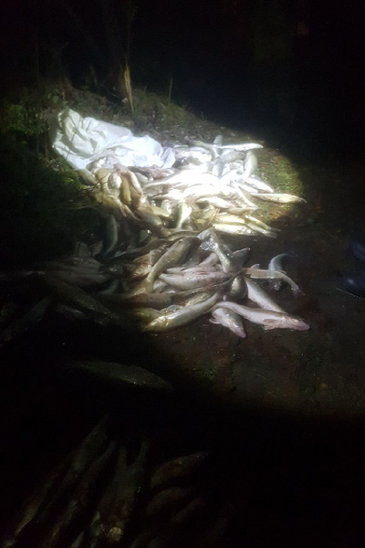 фото судаки на земле 2023.png фото судаки на земле 2023.png