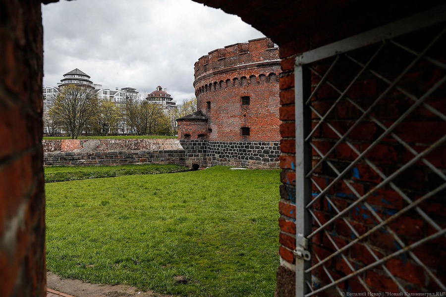 _NEV4875.jpg _NEV4875.jpg