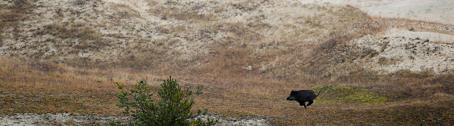 1avt21wyp5g80n4m1o76963sybdo2j4b (1).jpg