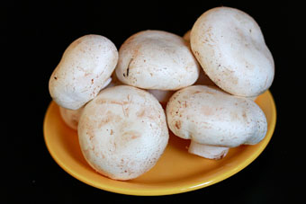 грибы.jpg грибы.jpg