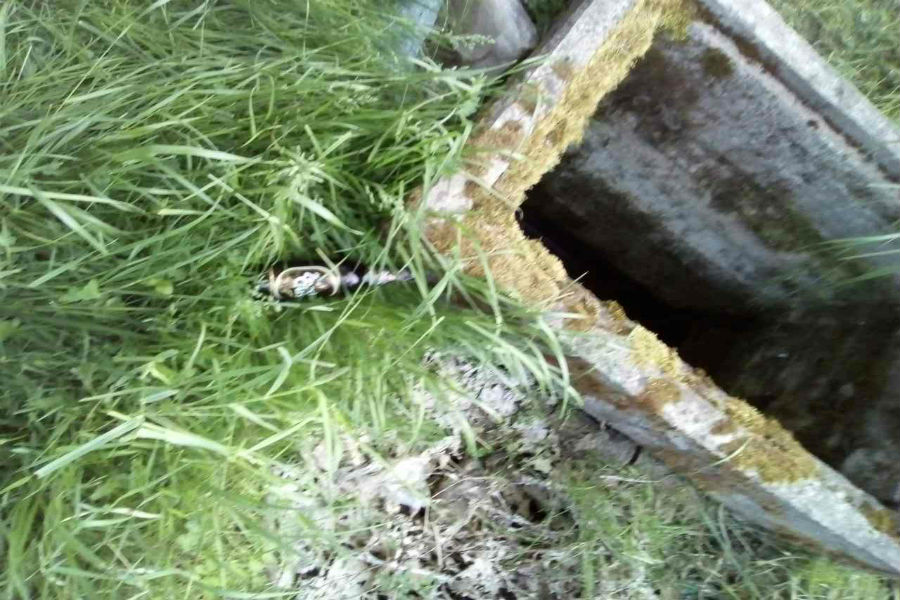 f1b55e9a2227baaa591a36dcf65b7cac.jpg f1b55e9a2227baaa591a36dcf65b7cac.jpg