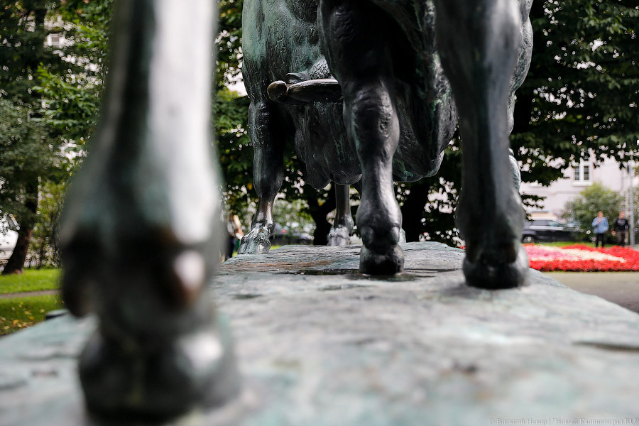 _NEV2126.jpg _NEV2126.jpg