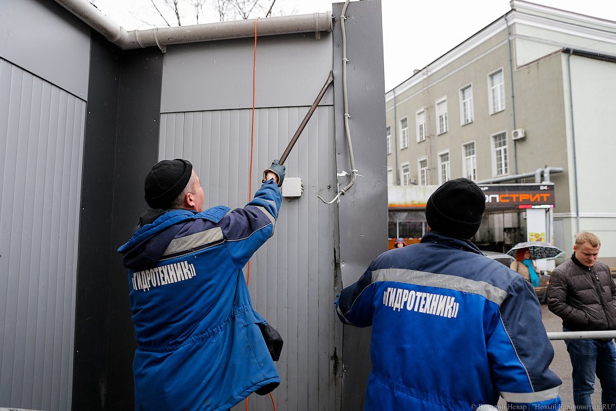 _NEV0692.jpg _NEV0692.jpg