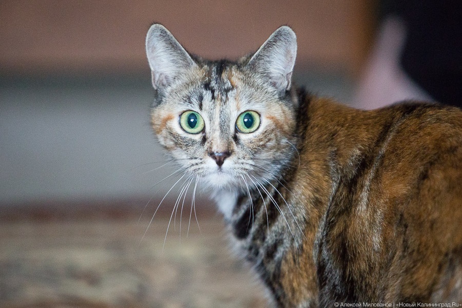 MIL_5456.jpg MIL_5456.jpg