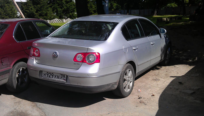 IMAG0497.jpg