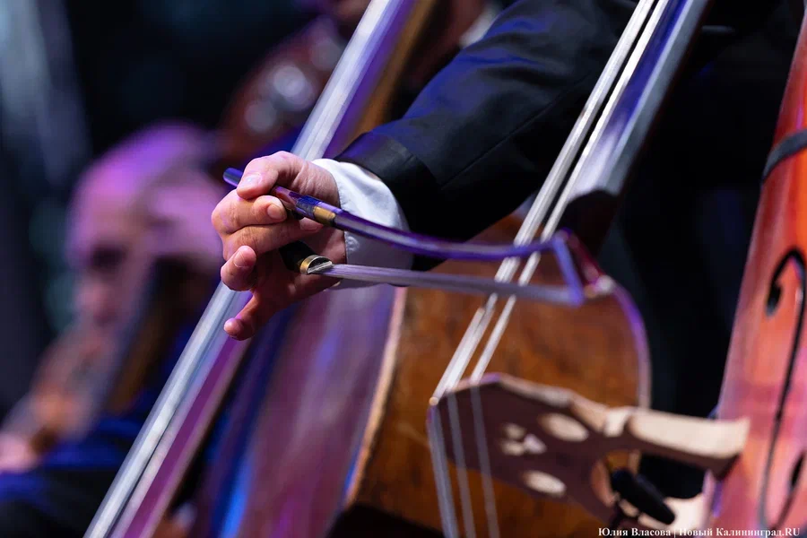 2024.08 территория мира, фестиваль, музыка, оркестр 36.JPG