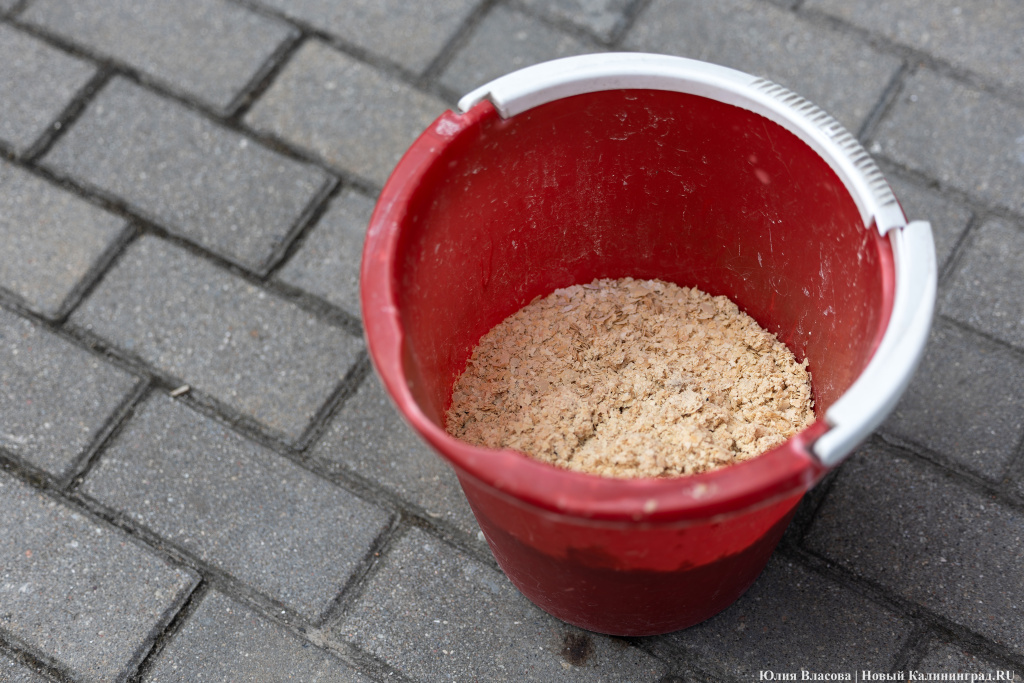 IMG_7283-CR3.jpg IMG_7283-CR3.jpg