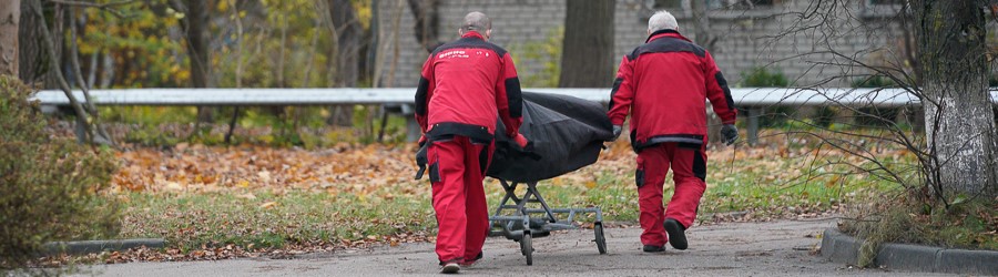 _NVR7845.jpg _NVR7845.jpg