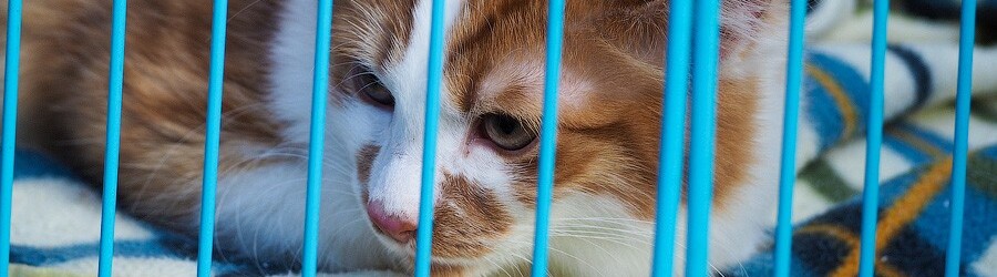 62c0a10498bcde47a50f24bfb37392be (1).jpg 62c0a10498bcde47a50f24bfb37392be (1).jpg