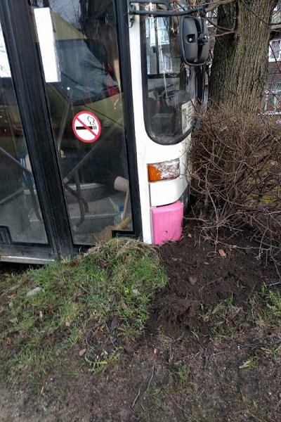 автобус.jpg автобус.jpg