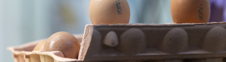 яйц.jpeg яйц.jpeg