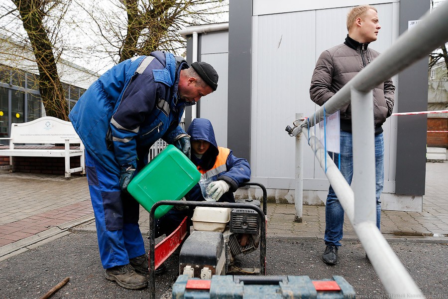 _NEV0659.jpg _NEV0659.jpg