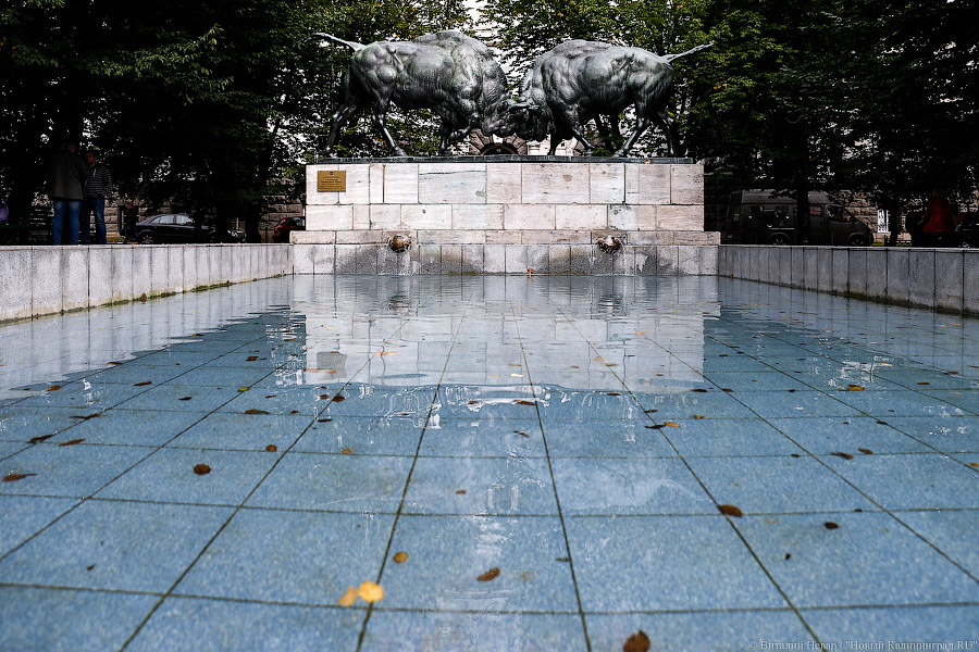 _NEV2130.jpg _NEV2130.jpg