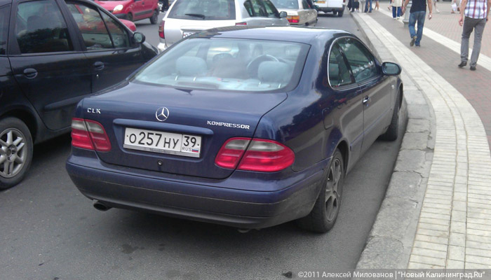 IMAG0074.jpg