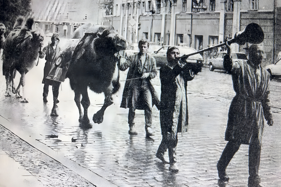 Цирк в городе .png Цирк в городе .png