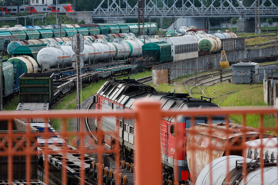 _NVR5979.jpg _NVR5979.jpg