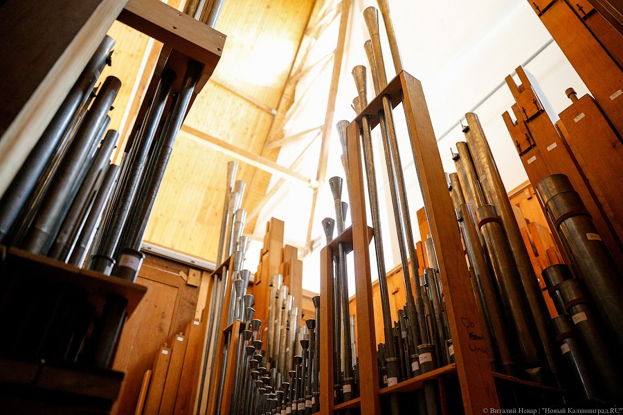 _NEV9513.jpg _NEV9513.jpg