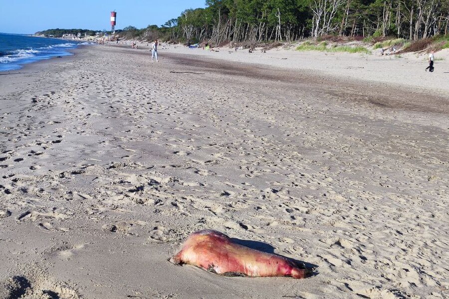 photo_2023-07-08_18-57-26 (1).jpg