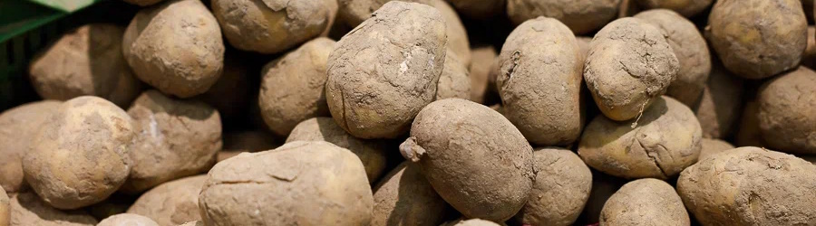 картофель.jpg картофель.jpg