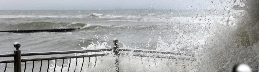 ggmloml3yg6w3rylqqgk1fpjbj3fg2ck (1).jpg ggmloml3yg6w3rylqqgk1fpjbj3fg2ck (1).jpg