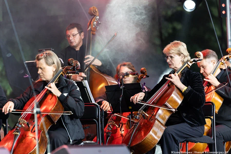 2024.06 кантата, оркестр 6.JPG