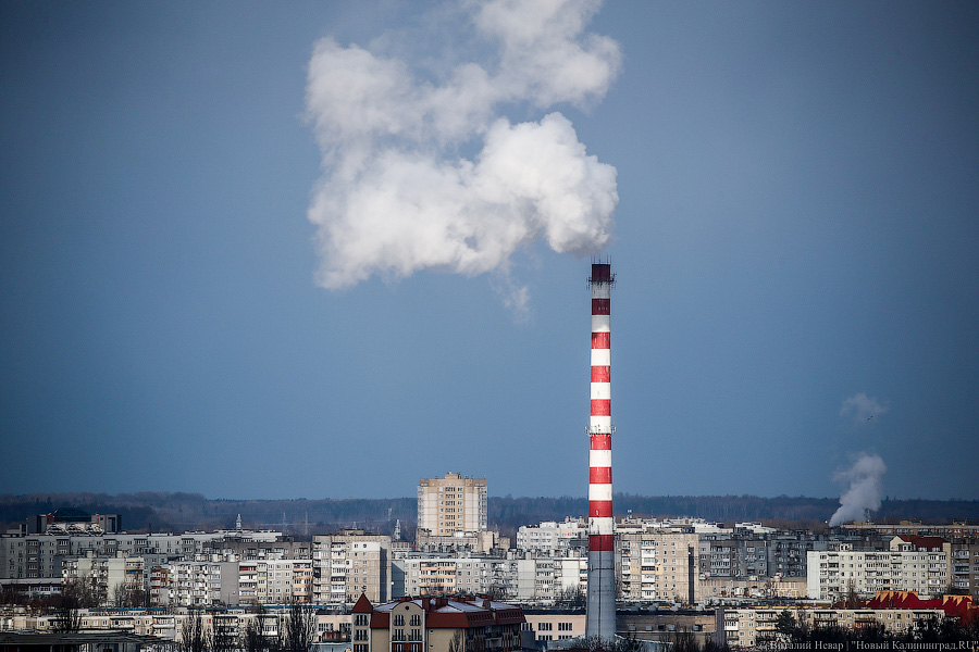 _NEV2385.jpg _NEV2385.jpg