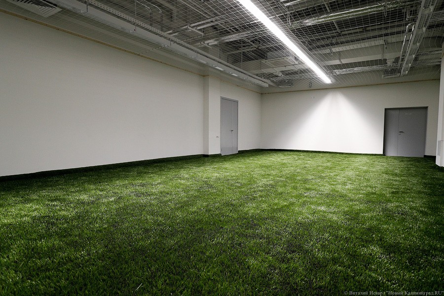 _NEV2697.jpg _NEV2697.jpg