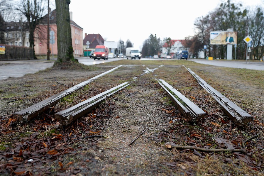 _NEV3160.jpg _NEV3160.jpg