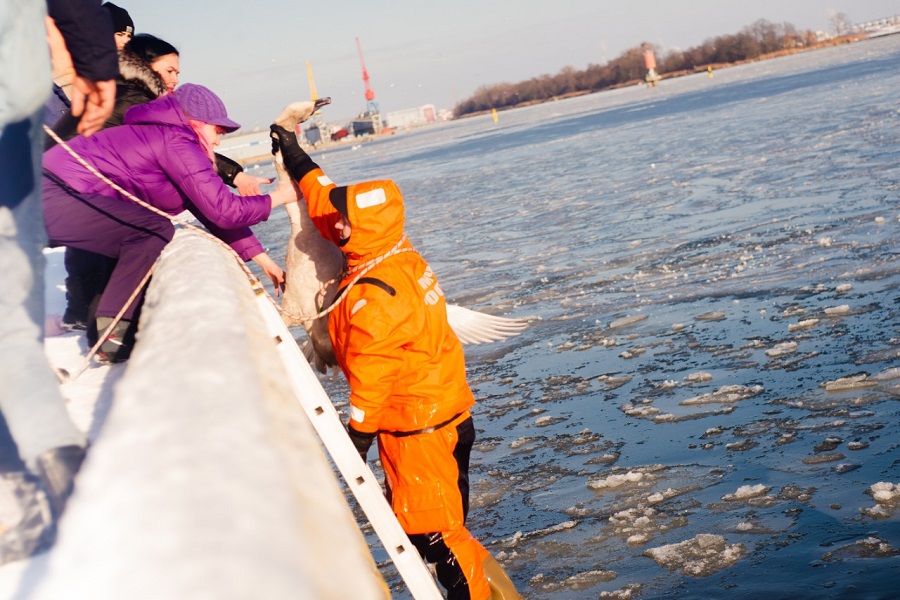 PHOTO-2021-02-06-20-12-04.jpg PHOTO-2021-02-06-20-12-04.jpg