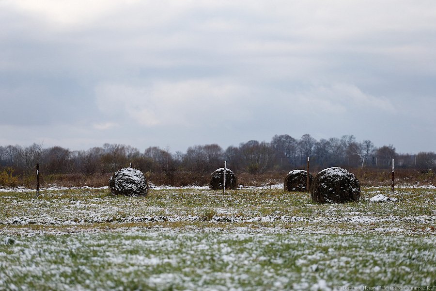 _NEV9783.jpg _NEV9783.jpg