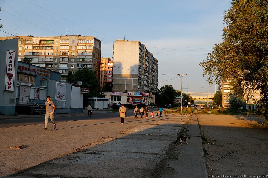 _NEV6699.jpg _NEV6699.jpg